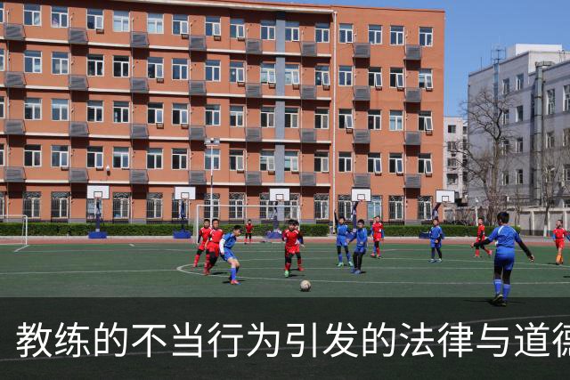 教练的不当行为引发的法律与道德思考